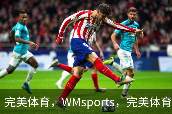 完美体育，WMsports，完美体育官方，完美体育平台，完美体育下载概况